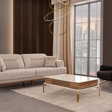 Velar koltuk takımı gold detaylı modern salon tasarımı