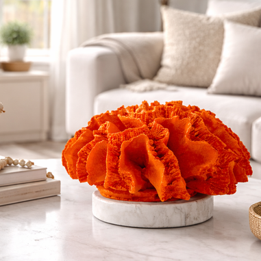 Orta Sehpa üzerinde dekoratif obje turuncu renkte yuvarlak mercan 