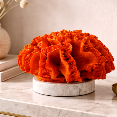 Dekoratif obje turuncu renkte yuvarlak mercan 