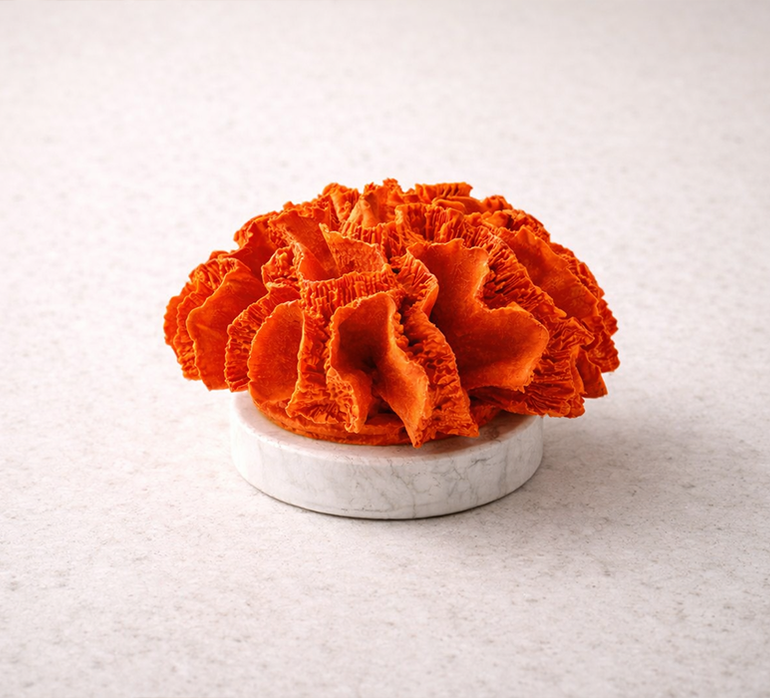 Dekoratif obje turuncu renkte yuvarlak mercan 