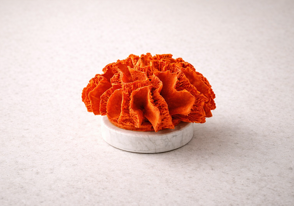 Dekoratif obje turuncu renkte yuvarlak mercan 